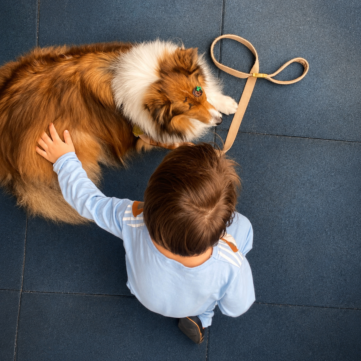 Criança em interação com cão de suporte emocional
